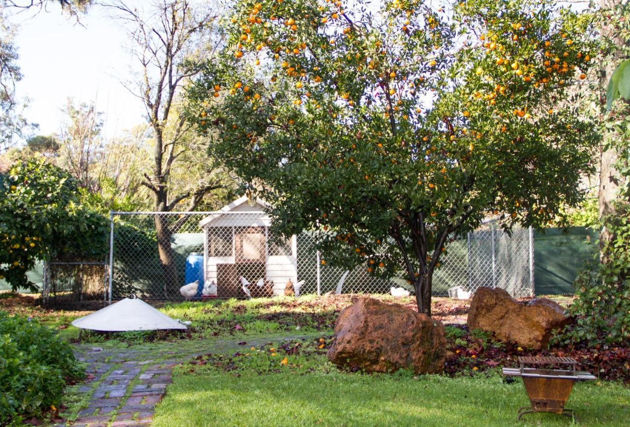 Farview Guest Accommodation Pickering Brook Eksteriør billede